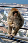 Gibraltar_030_small